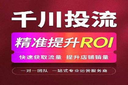 竞价端口开户全攻略，案例分析